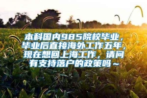 本科国内985院校毕业，毕业后直接海外工作五年，现在想回上海工作，请问有支持落户的政策吗～