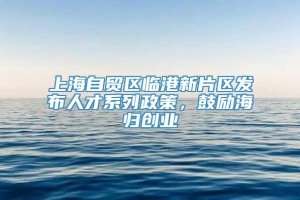 上海自贸区临港新片区发布人才系列政策，鼓励海归创业