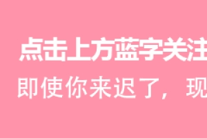 教育部直属211高校--上海外国语大学国际本科招考，不上专科更不用复读！