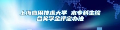 上海应用技术大学 本专科生综合奖学金评定办法