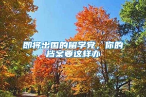 即将出国的留学党，你的档案要这样办