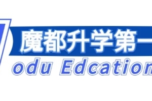 上海2024年普通高校本科专业选考科目分布数据分析