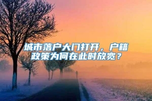 城市落户大门打开，户籍政策为何在此时放宽？