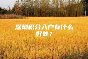 深圳积分入户有什么好处？