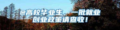 @高校毕业生，一批就业创业政策请查收！