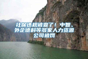 社保违规被查了！中智、外企德科等多家人力资源公司被罚