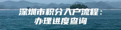 深圳市积分入户流程：办理进度查询