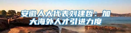 安徽人大代表刘建哲：加大海外人才引进力度