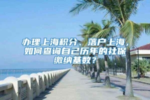 办理上海积分、落户上海，如何查询自己历年的社保缴纳基数？