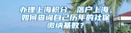 办理上海积分、落户上海，如何查询自己历年的社保缴纳基数？