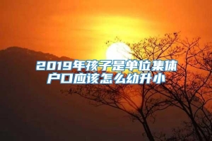 2019年孩子是单位集体户口应该怎么幼升小