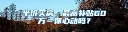 半价买房，最高补贴60万…你心动吗？