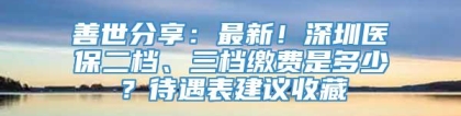 善世分享：最新！深圳医保二档、三档缴费是多少？待遇表建议收藏