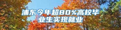 浦东今年超80%高校毕业生实现就业