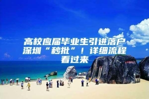 高校应届毕业生引进落户深圳“秒批”！详细流程看过来