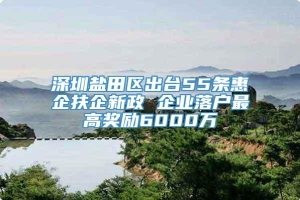 深圳盐田区出台55条惠企扶企新政 企业落户最高奖励6000万