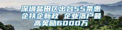 深圳盐田区出台55条惠企扶企新政 企业落户最高奖励6000万