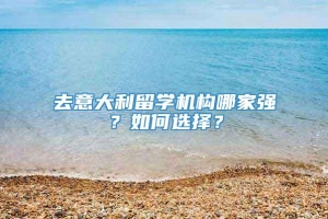 去意大利留学机构哪家强？如何选择？