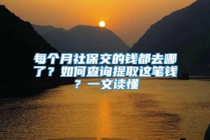 每个月社保交的钱都去哪了？如何查询提取这笔钱？一文读懂