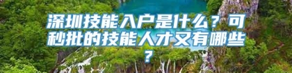 深圳技能入户是什么？可秒批的技能人才又有哪些？