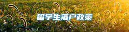 留学生落户政策