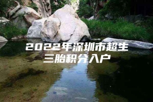 2022年深圳市超生三胎积分入户