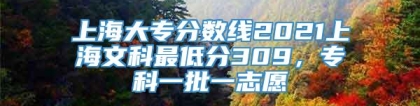 上海大专分数线2021上海文科最低分309，专科一批一志愿