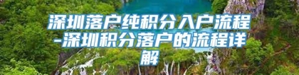 深圳落户纯积分入户流程-深圳积分落户的流程详解