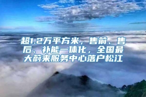 超1.2万平方米，售前、售后、补能一体化，全国最大蔚来服务中心落户松江