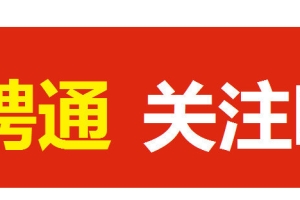 2022年山东济宁金乡县事业单位“优才计划”人才引进公告