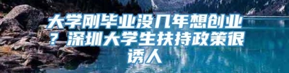 大学刚毕业没几年想创业？深圳大学生扶持政策很诱人