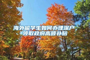 海外留学生如何办理深户，领取政府高额补贴