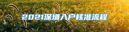 2021深圳入户核准流程