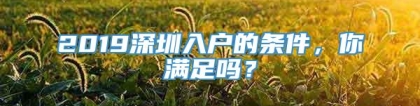 2019深圳入户的条件，你满足吗？