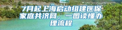 7月起上海启动组建医保家庭共济网，一图读懂办理流程