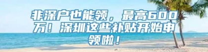 非深户也能领，最高600万！深圳这些补贴开始申领啦！