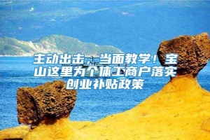 主动出击，当面教学！宝山这里为个体工商户落实创业补贴政策