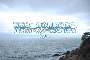 划重点！想办理积分落户，这份新区人专属攻略请收好～