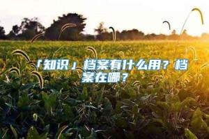 「知识」档案有什么用？档案在哪？