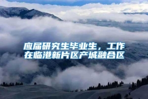 应届研究生毕业生，工作在临港新片区产城融合区