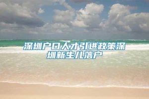 深圳户口人才引进政策深圳新生儿落户