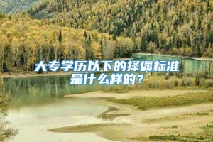 大专学历以下的择偶标准是什么样的？