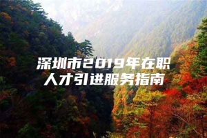 深圳市2019年在职人才引进服务指南