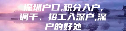 深圳户口,积分入户,调干、招工入深户,深户的好处