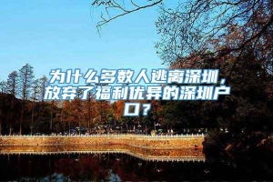 为什么多数人逃离深圳，放弃了福利优异的深圳户口？