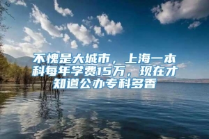 不愧是大城市，上海一本科每年学费15万，现在才知道公办专科多香