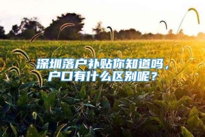 深圳落户补贴你知道吗，户口有什么区别呢？