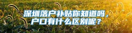 深圳落户补贴你知道吗，户口有什么区别呢？