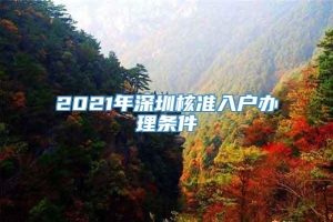 2021年深圳核准入户办理条件