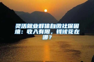 灵活就业群体自缴社保困境：收入有限，钱该花在哪？